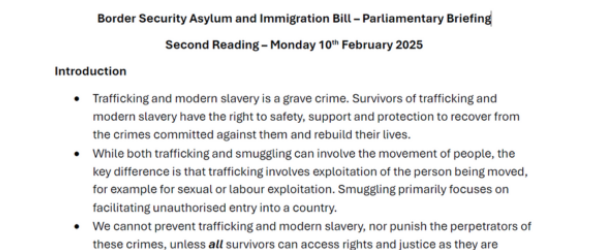 Border Security Asylum and Immigration Bill – Parliamentary Briefing supporting image